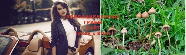 МДПВ Белоозёрский